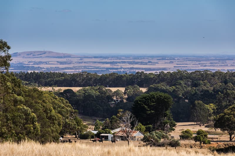 385 Bambra Cemetery Road, Deans Marsh, VIC, Deans Marsh - Image 1