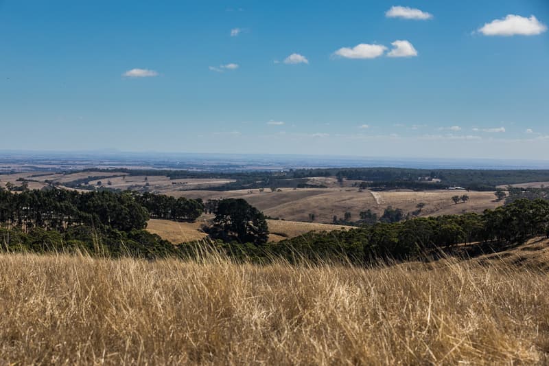 385 Bambra Cemetery Road, Deans Marsh, VIC, Deans Marsh - Thumbnail 2