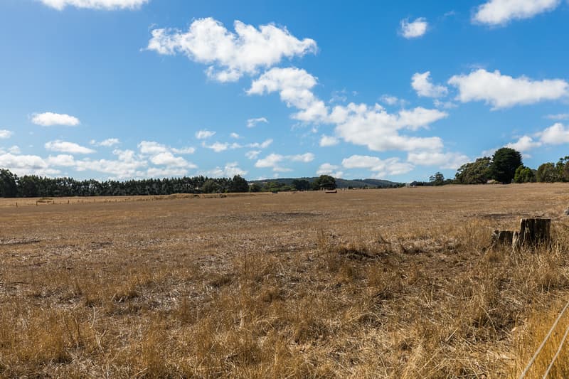 385 Bambra Cemetery Road, Deans Marsh, VIC, Deans Marsh - Thumbnail 4