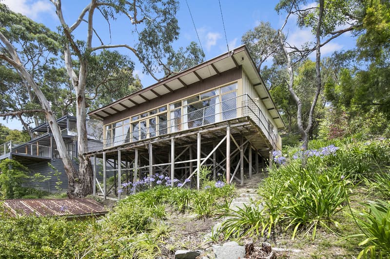 16 Lorne Avenue, Lorne, VIC, Lorne - Thumbnail 3