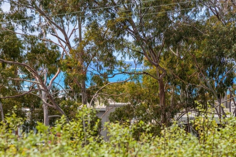 60 Smith Street, Lorne, VIC, Lorne - Thumbnail 4