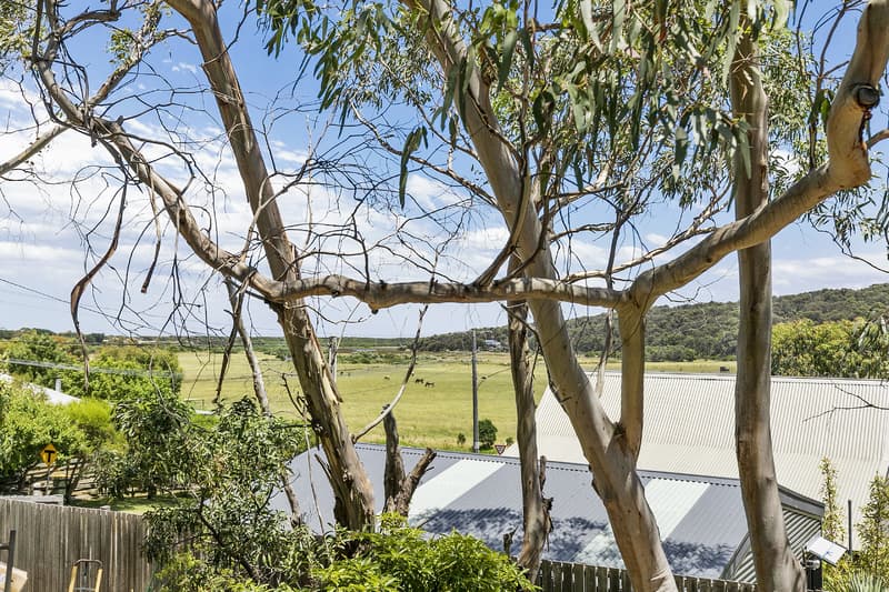 70 Aireys Street AIREYS INLET VIC, Aireys Inlet - Thumbnail 5