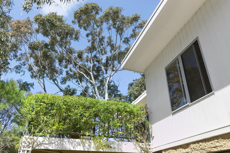 14 Belton Street, Anglesea, VIC, Anglesea - Thumbnail 3
