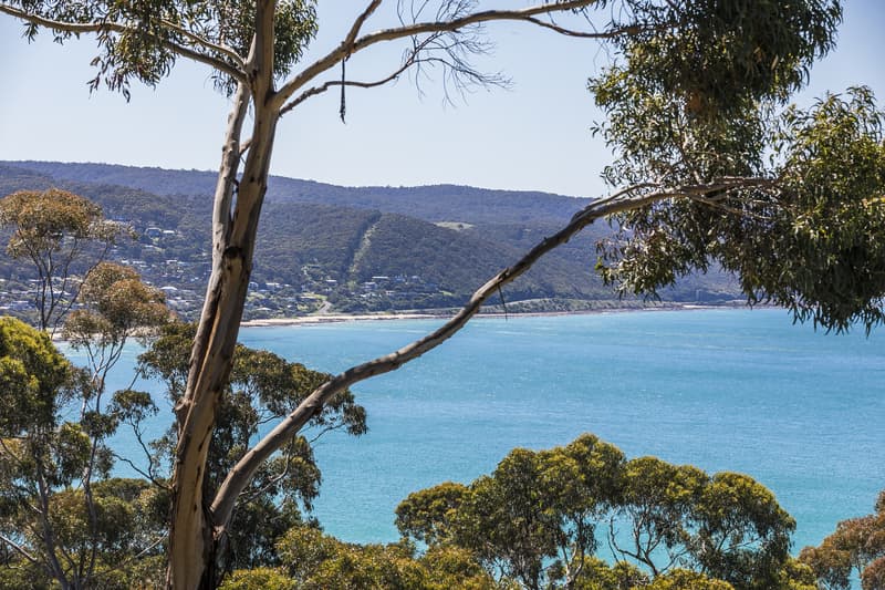 68 Charles Street, Lorne, VIC, Lorne - Thumbnail 6