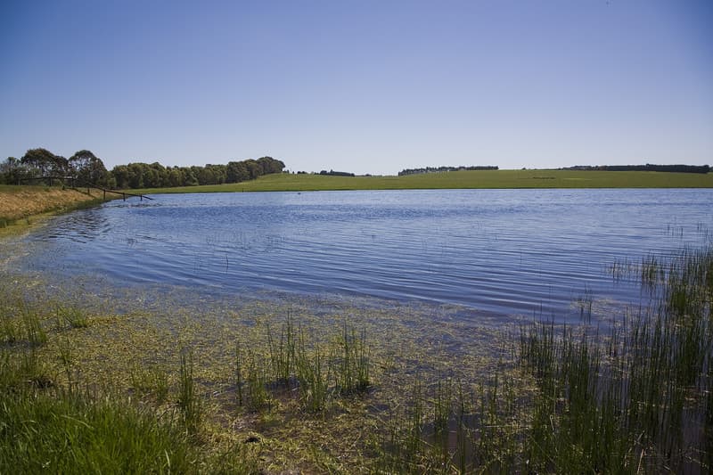 25 Collyers Road, Warncoort, VIC, Warncoort - Thumbnail 5