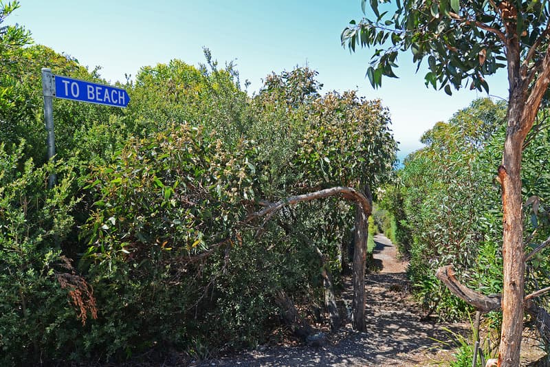 21 Yandanah Road, Fairhaven, VIC, Fairhaven - Thumbnail 3