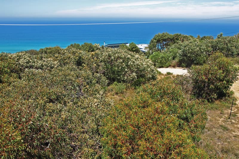 21 Yandanah Road, Fairhaven, VIC, Fairhaven - Thumbnail 6
