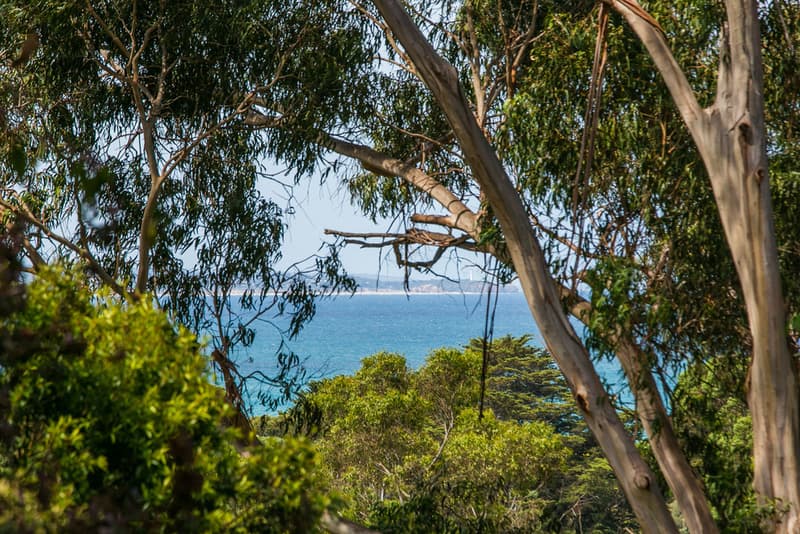 25 Grand Parade, Lorne, VIC, Lorne - Thumbnail 3