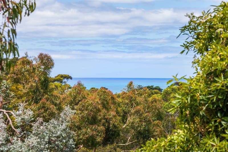 23 Richardson Boulevard, Lorne, VIC, Lorne - Thumbnail 2