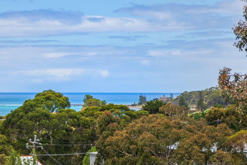 23 Richardson Boulevard, Lorne, VIC, Lorne - Thumbnail 3