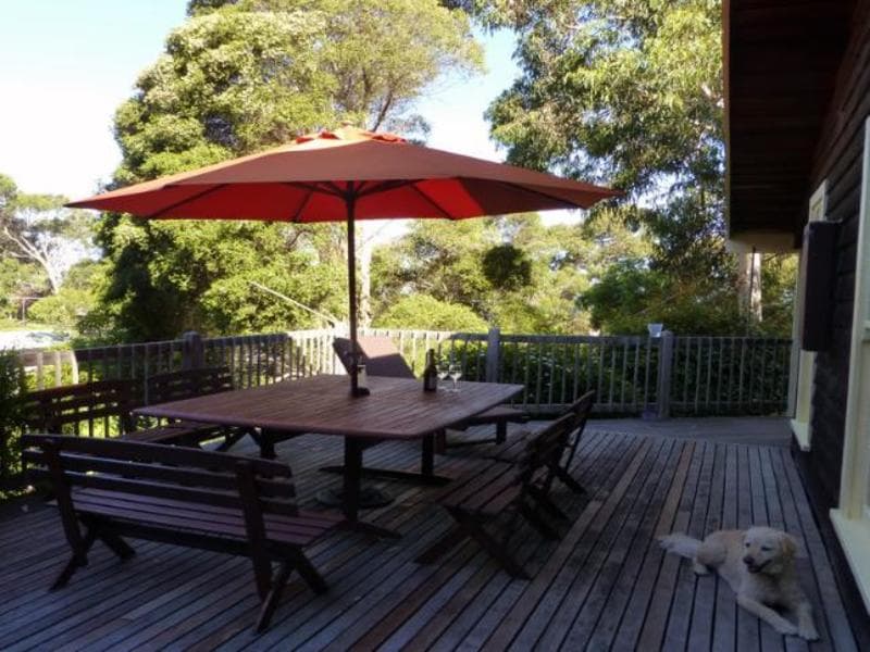 19 Belvedere Terrace, Lorne, VIC, Lorne - Thumbnail 5