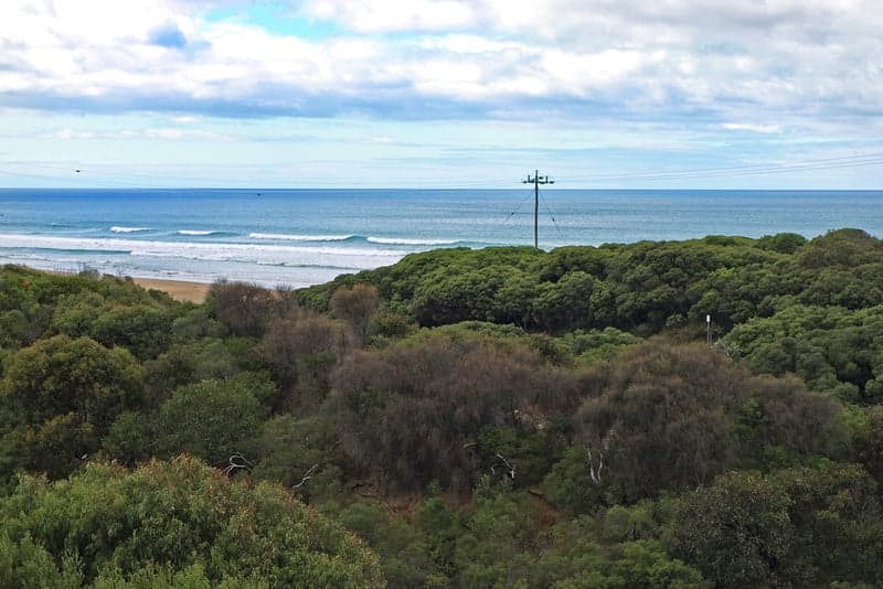 29 Robyn Road, Moggs Creek, VIC, Moggs Creek - Thumbnail 3