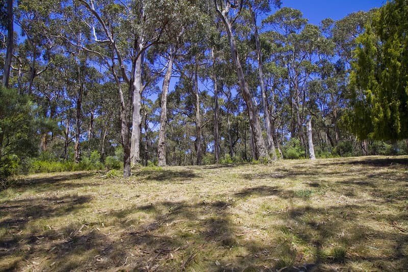 100 Grove Road (Heath Street), Lorne, VIC, Lorne - Thumbnail 4