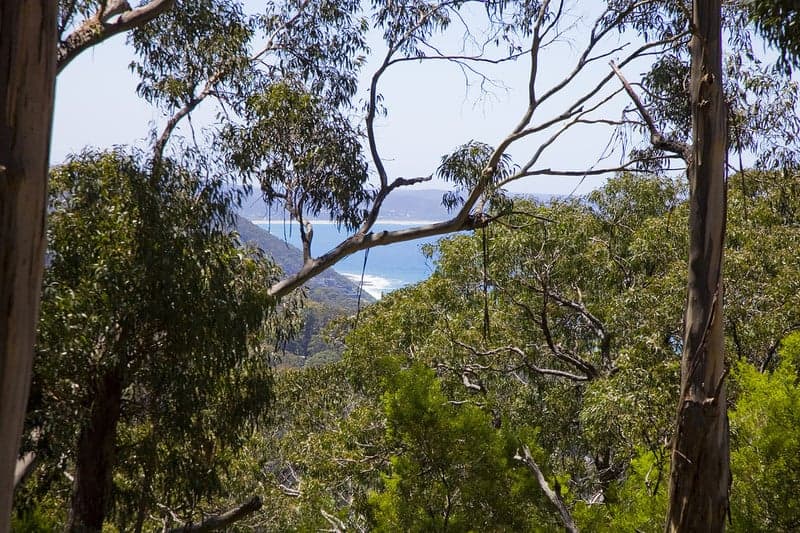 100 Grove Road (Heath Street), Lorne, VIC, Lorne - Thumbnail 5