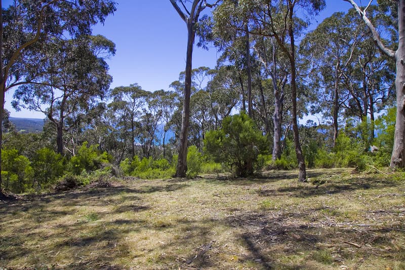 100 Grove Road (Heath Street), Lorne, VIC, Lorne - Thumbnail 6