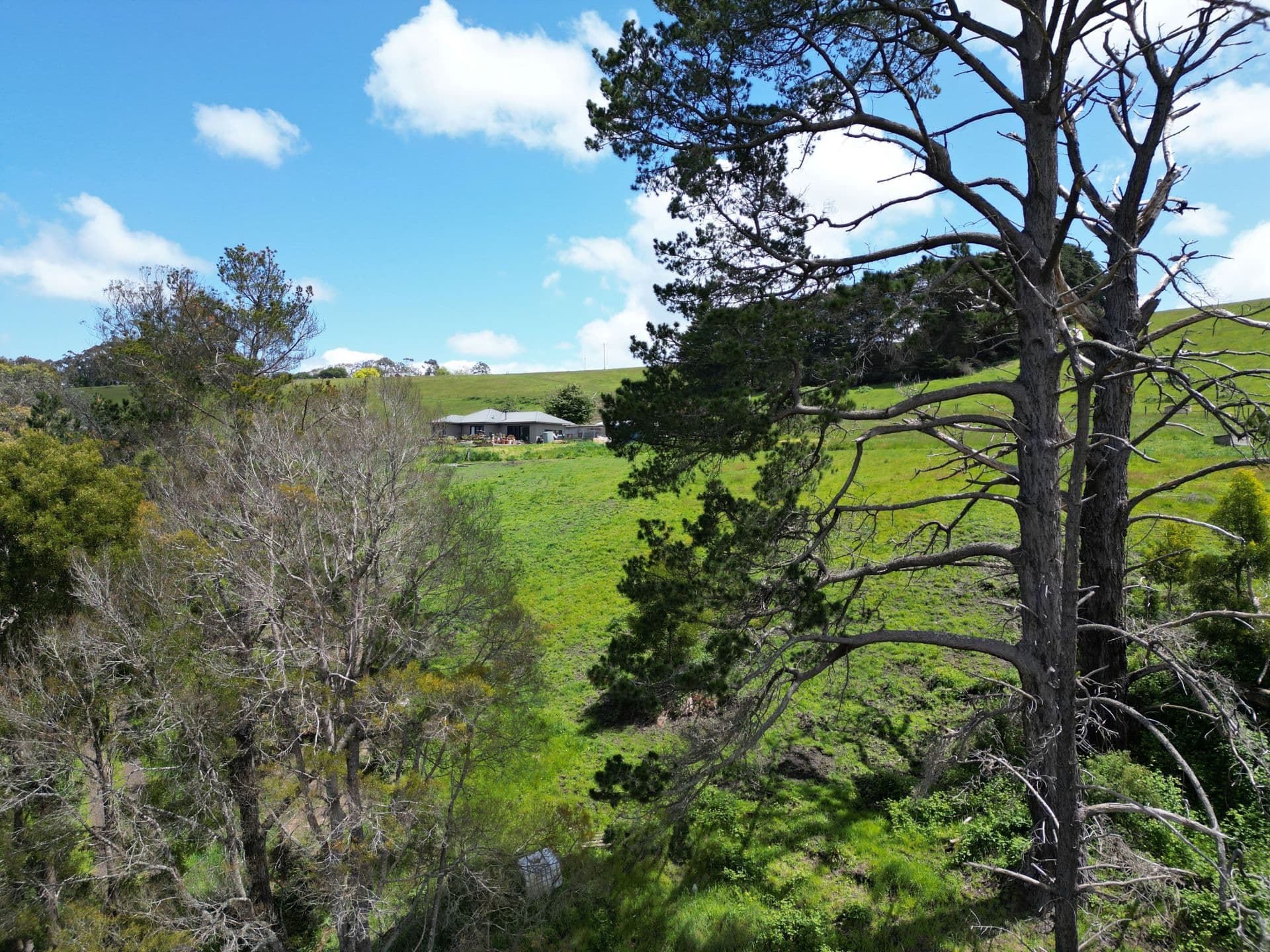 4157 Lavers Hill Cobden Road, Chapple Vale - Thumbnail 3