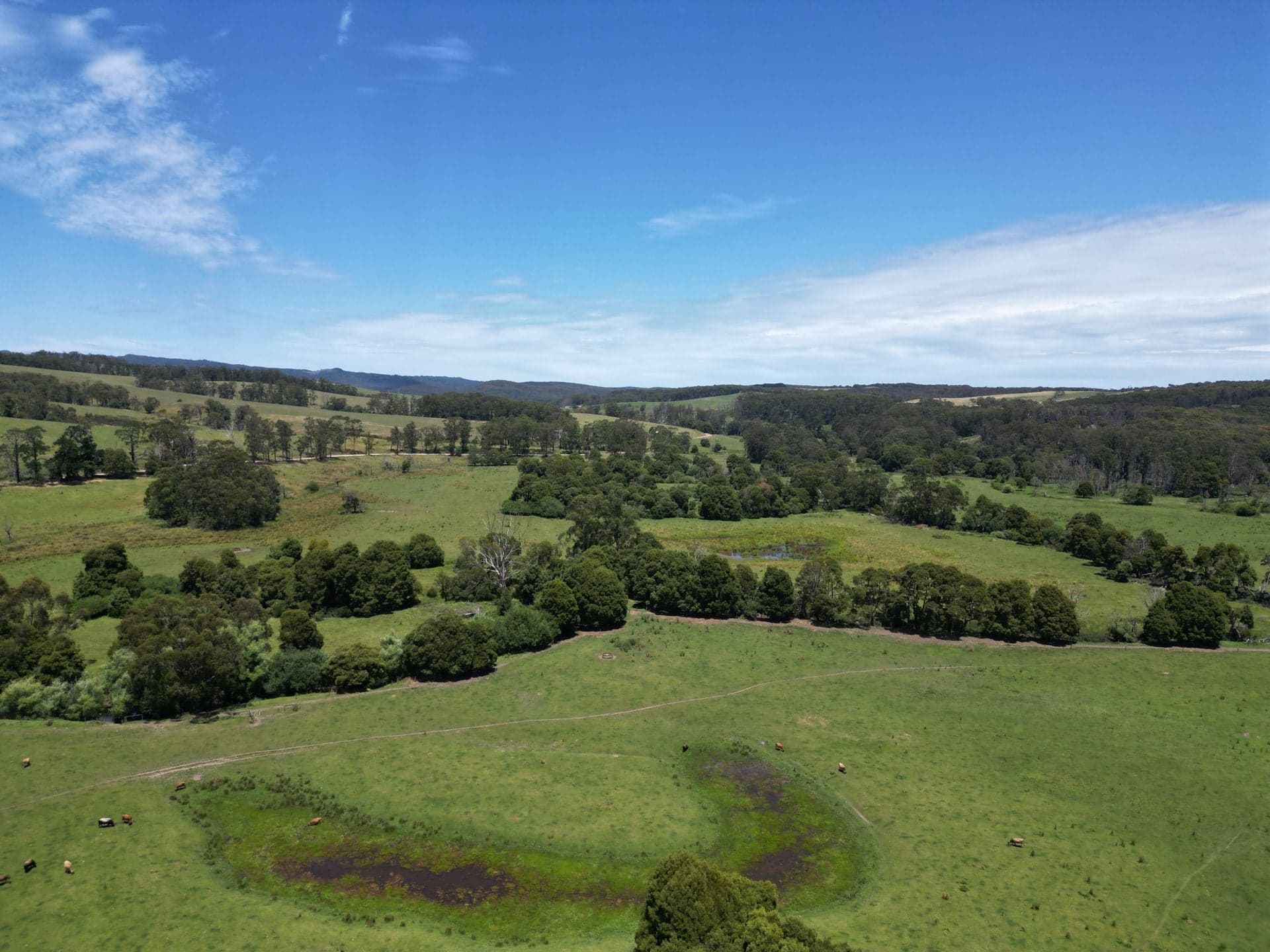 4157 Lavers Hill Cobden Road, Chapple Vale - Thumbnail 5