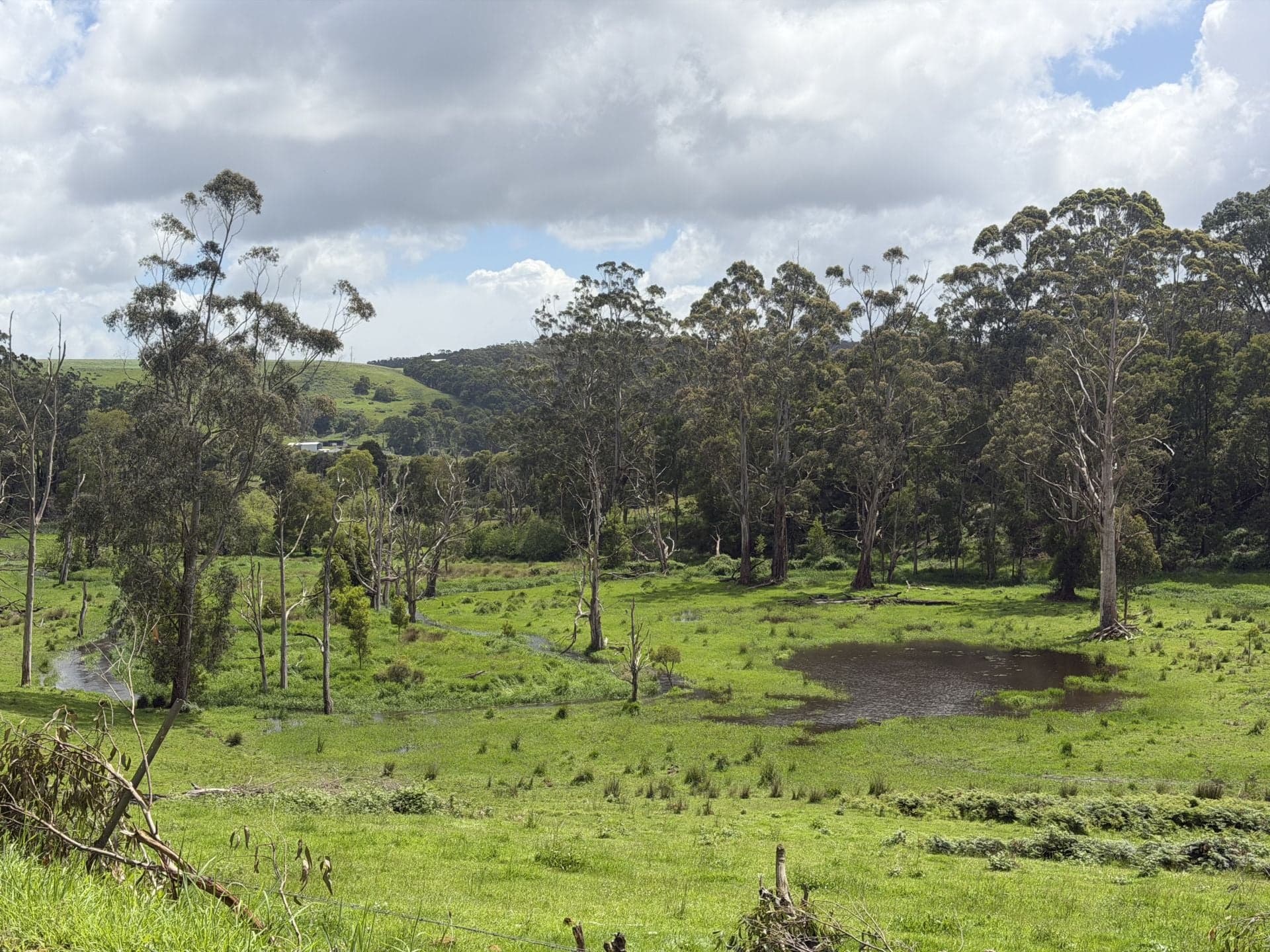 4157 Lavers Hill Cobden Road, Chapple Vale - Thumbnail 6