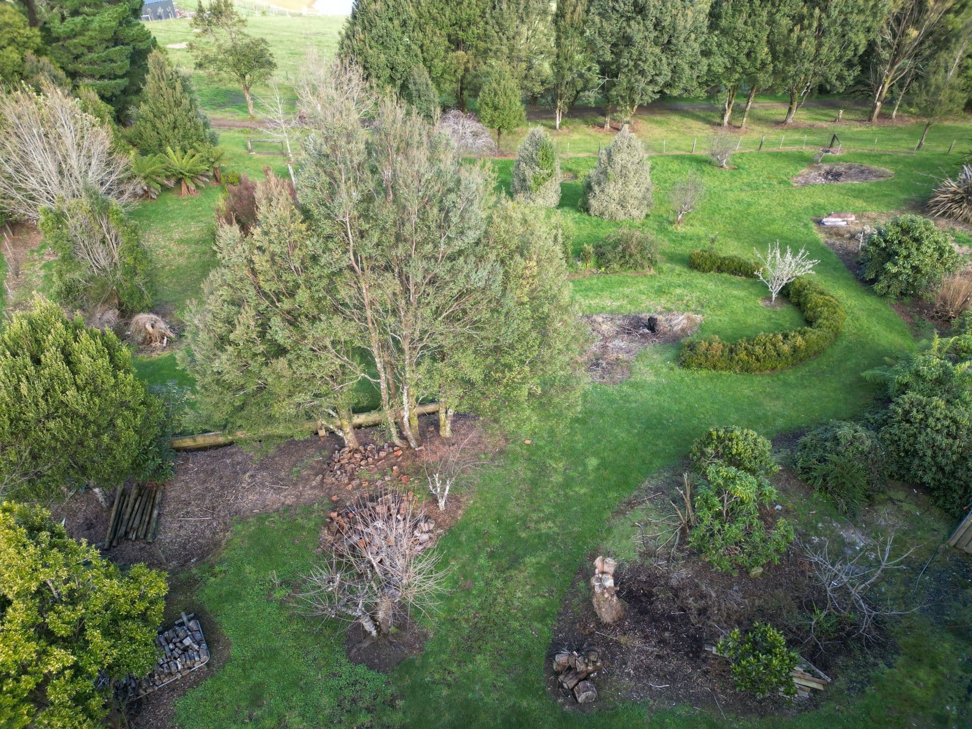 3 Gardner  Street, Beech Forest - Thumbnail 4
