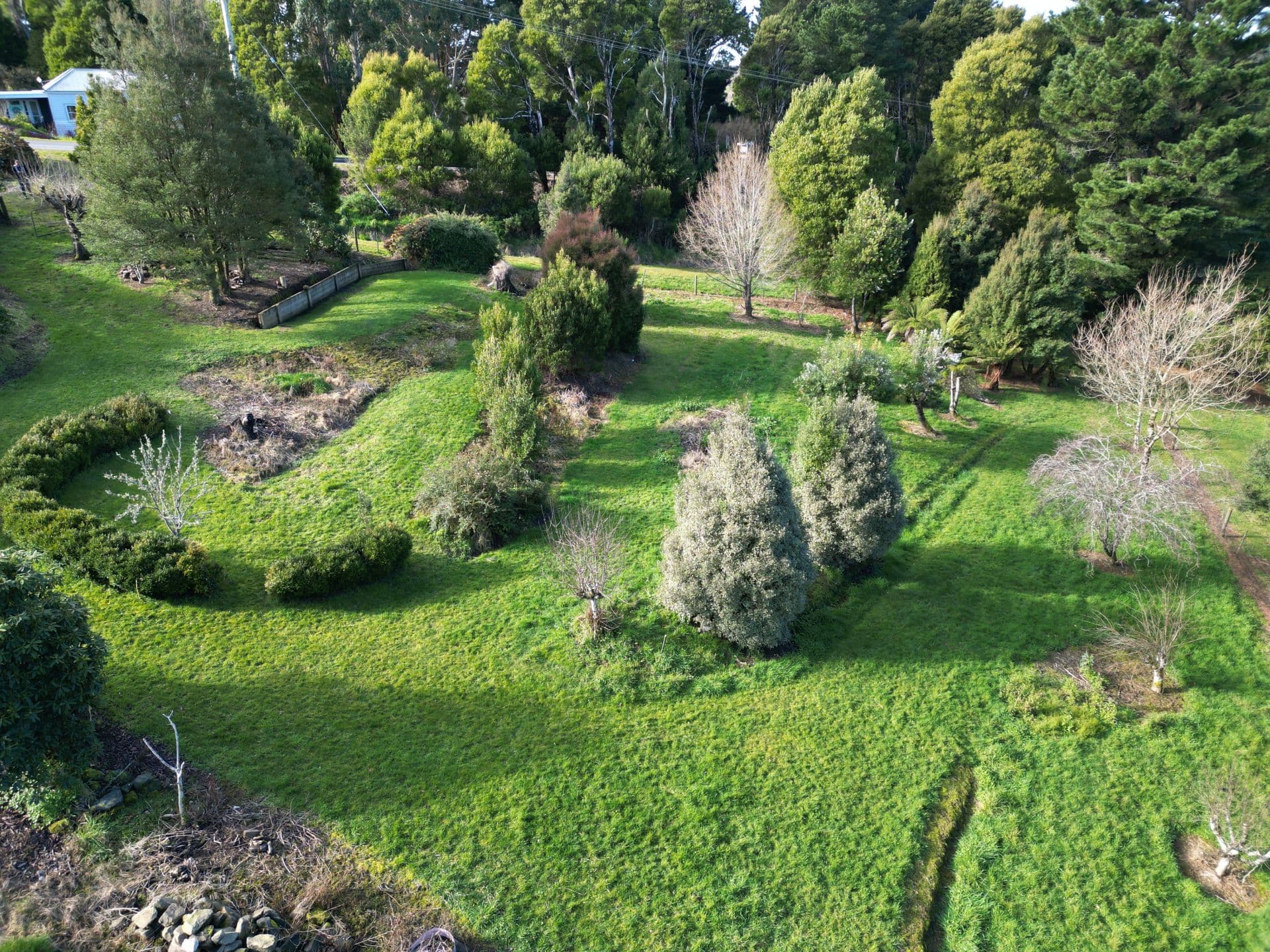 3 Gardner  Street, Beech Forest - Thumbnail 7
