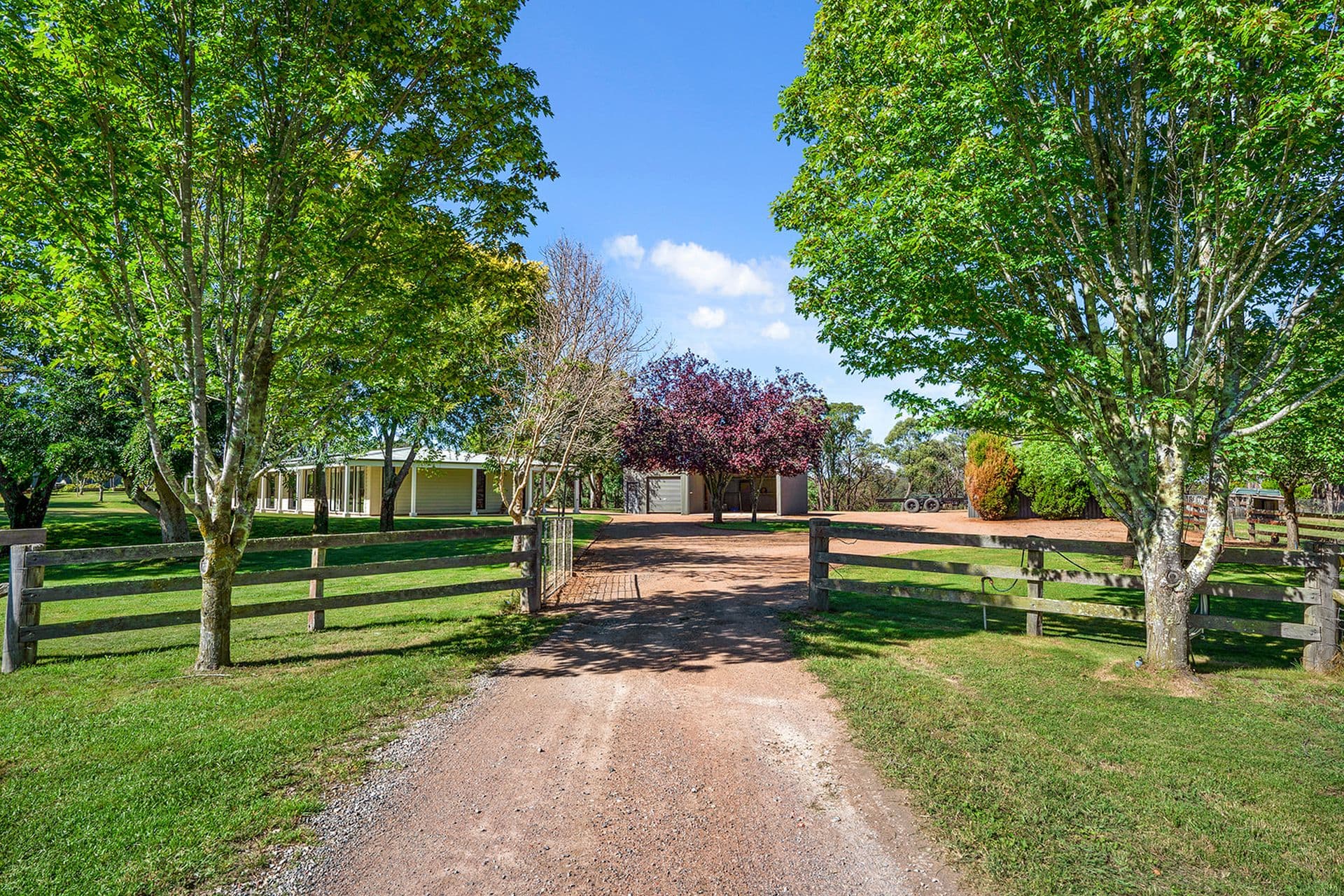1421 Tugalong Road, Canyonleigh, Canyonleigh - Thumbnail 3