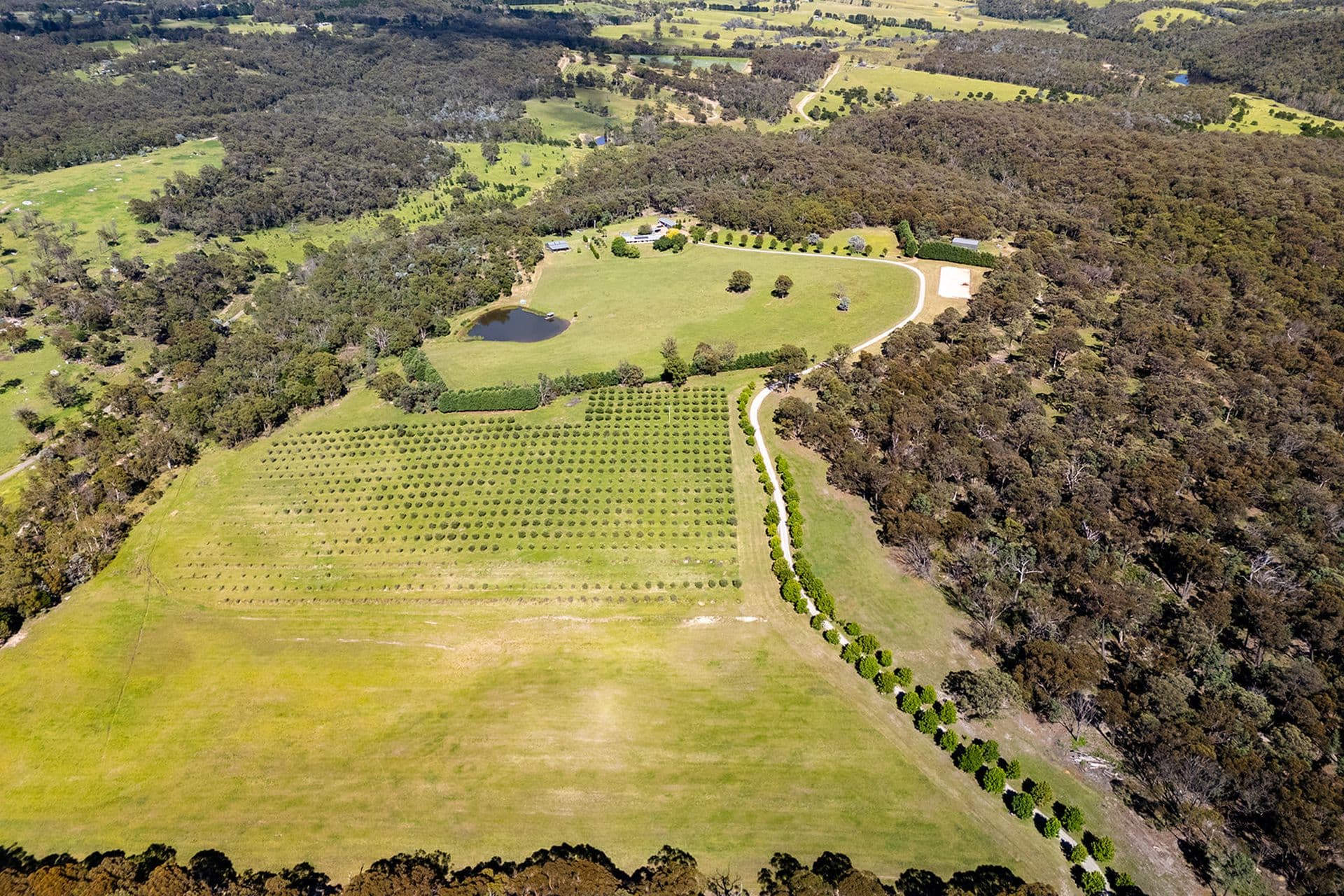 1421 Tugalong Road, Canyonleigh, Canyonleigh - Thumbnail 5