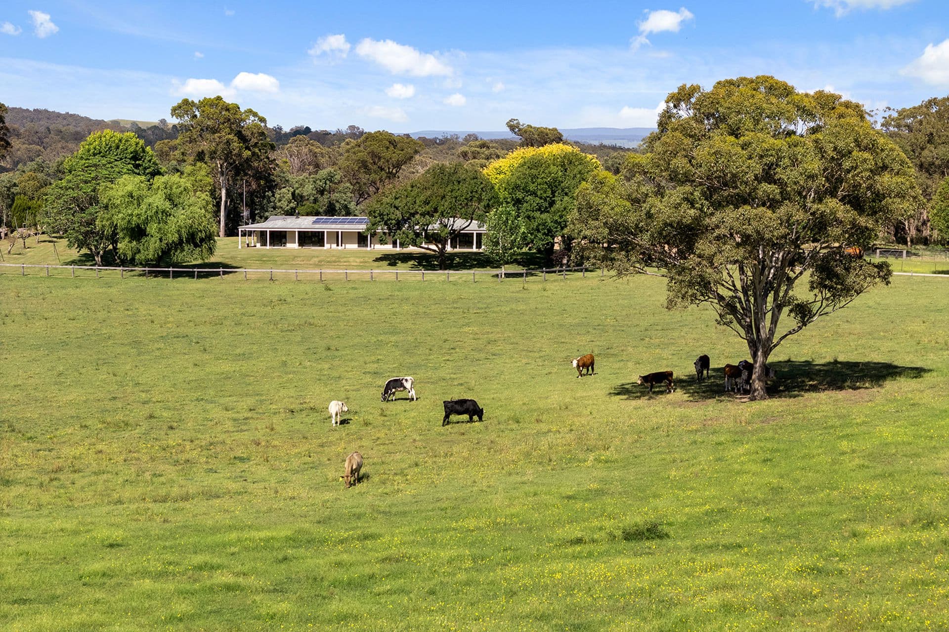 1421 Tugalong Road, Canyonleigh, Canyonleigh - Thumbnail 6