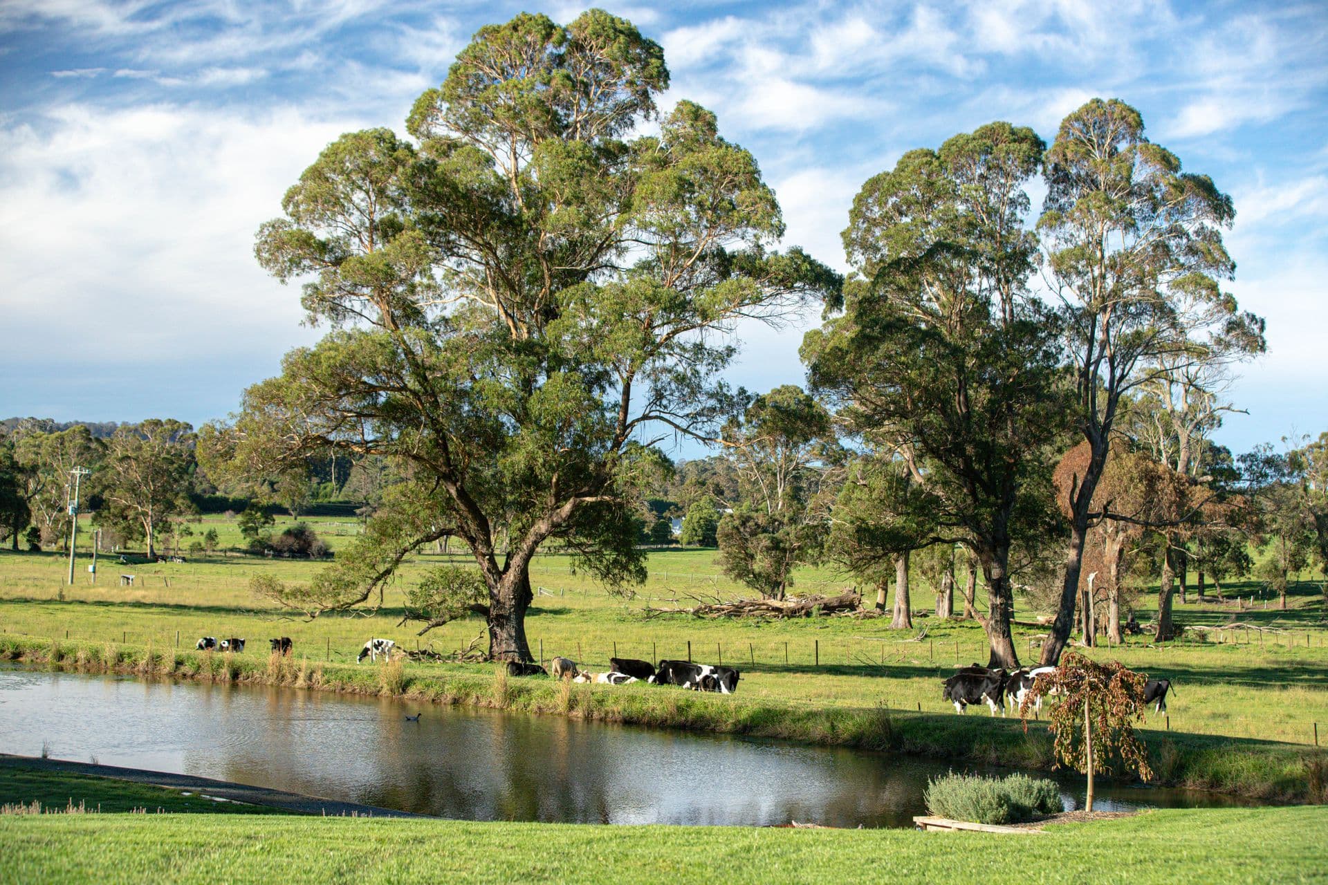 194 Walkers Road, Avoca, Avoca - Thumbnail 5