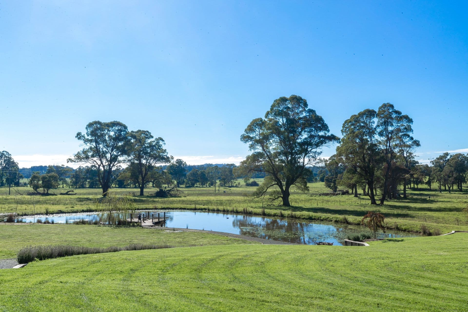 194 Walkers Road, Avoca, Avoca - Thumbnail 6
