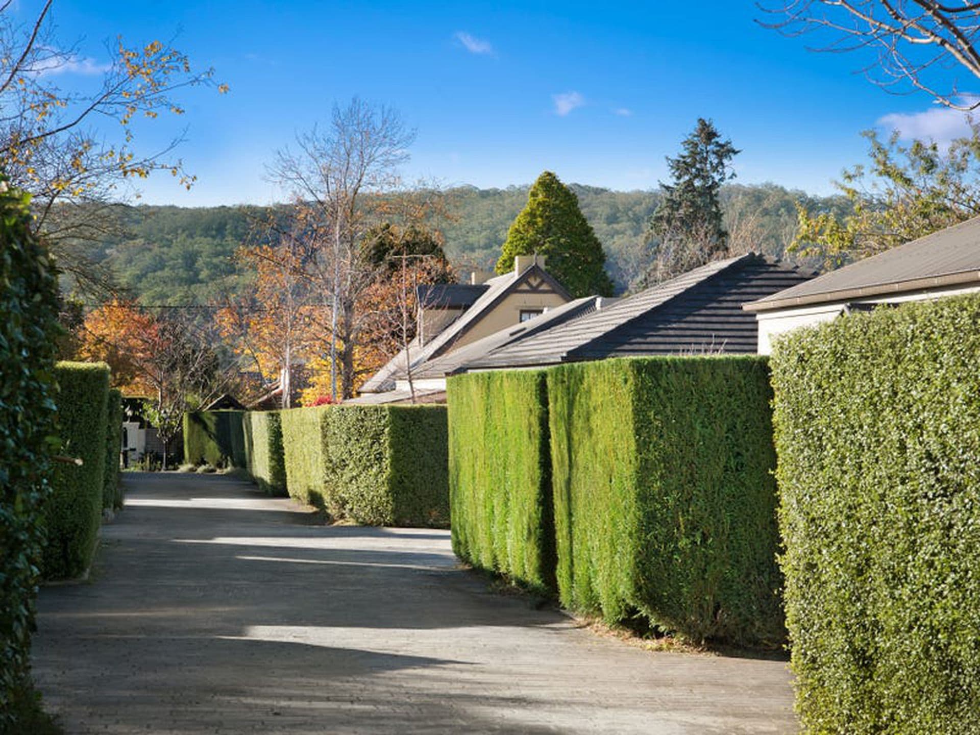 8 / 9-11 Ascot Road, Bowral, Bowral - Thumbnail 8