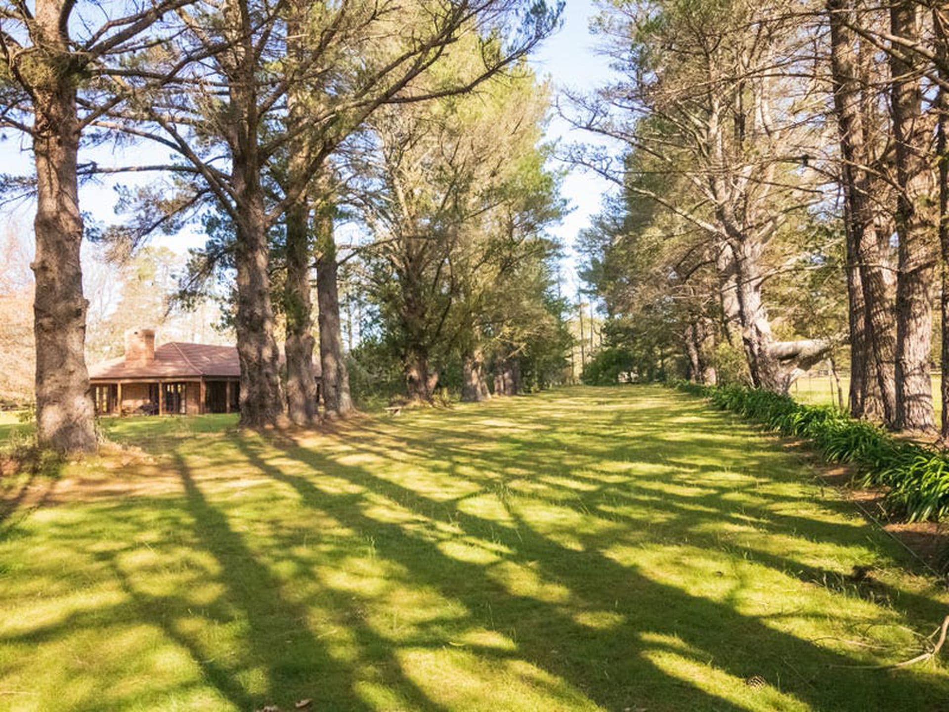 156 McCallum Road, Colo Vale, Colo Vale - Image 1