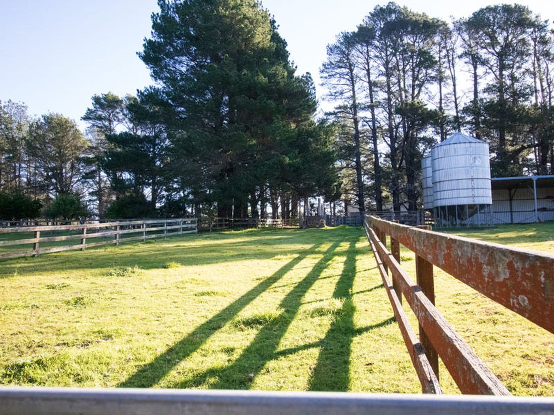 156 McCallum Road, Colo Vale, Colo Vale - Thumbnail 6