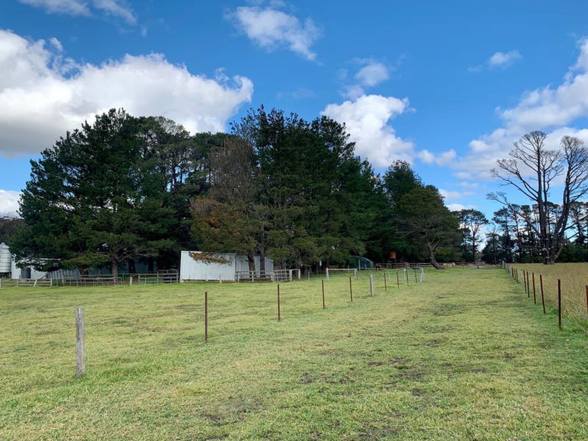 156 McCallum Road, Colo Vale, Colo Vale - Thumbnail 8