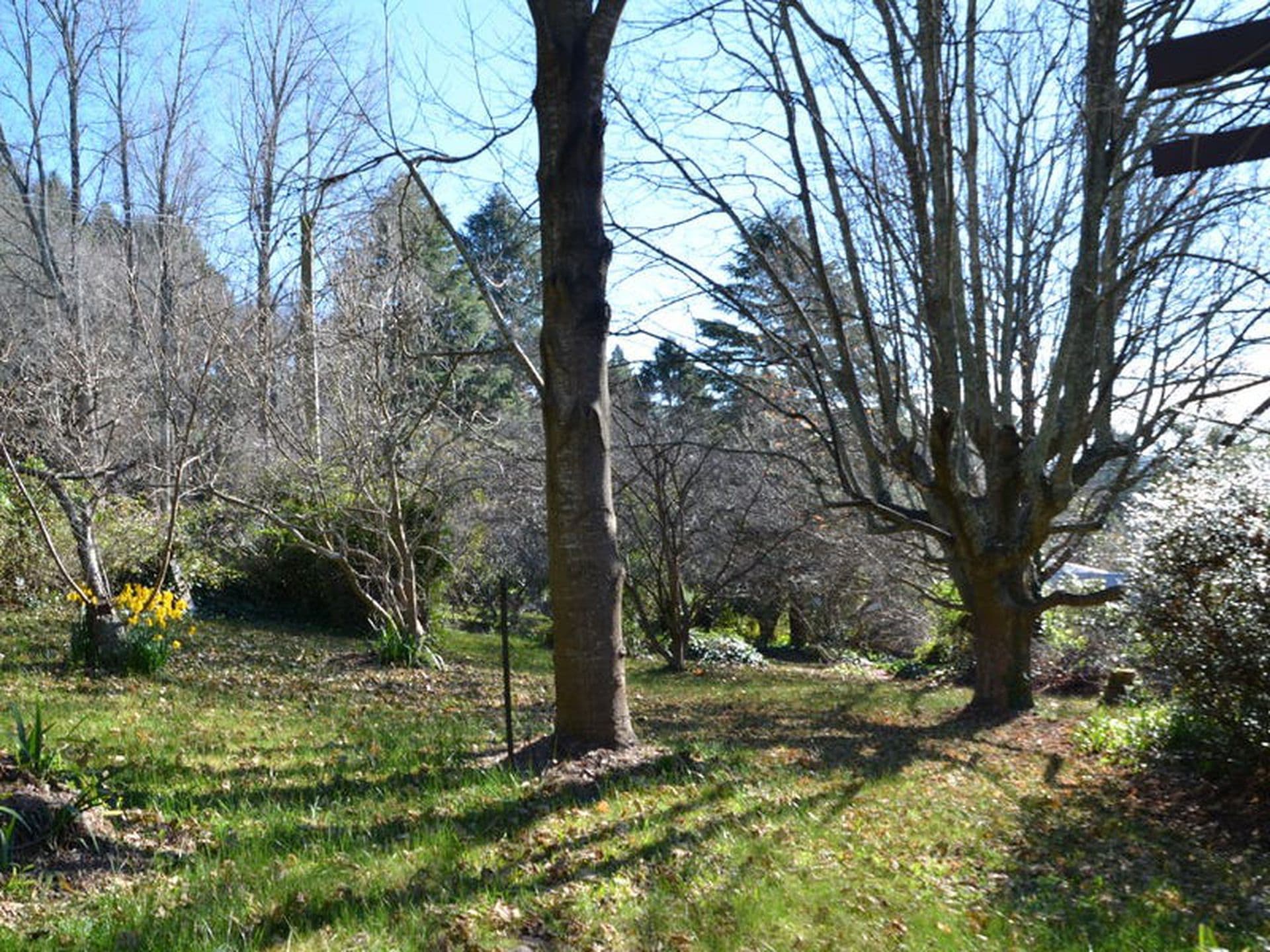 34 Duke Street, Mittagong, Mittagong - Thumbnail 5