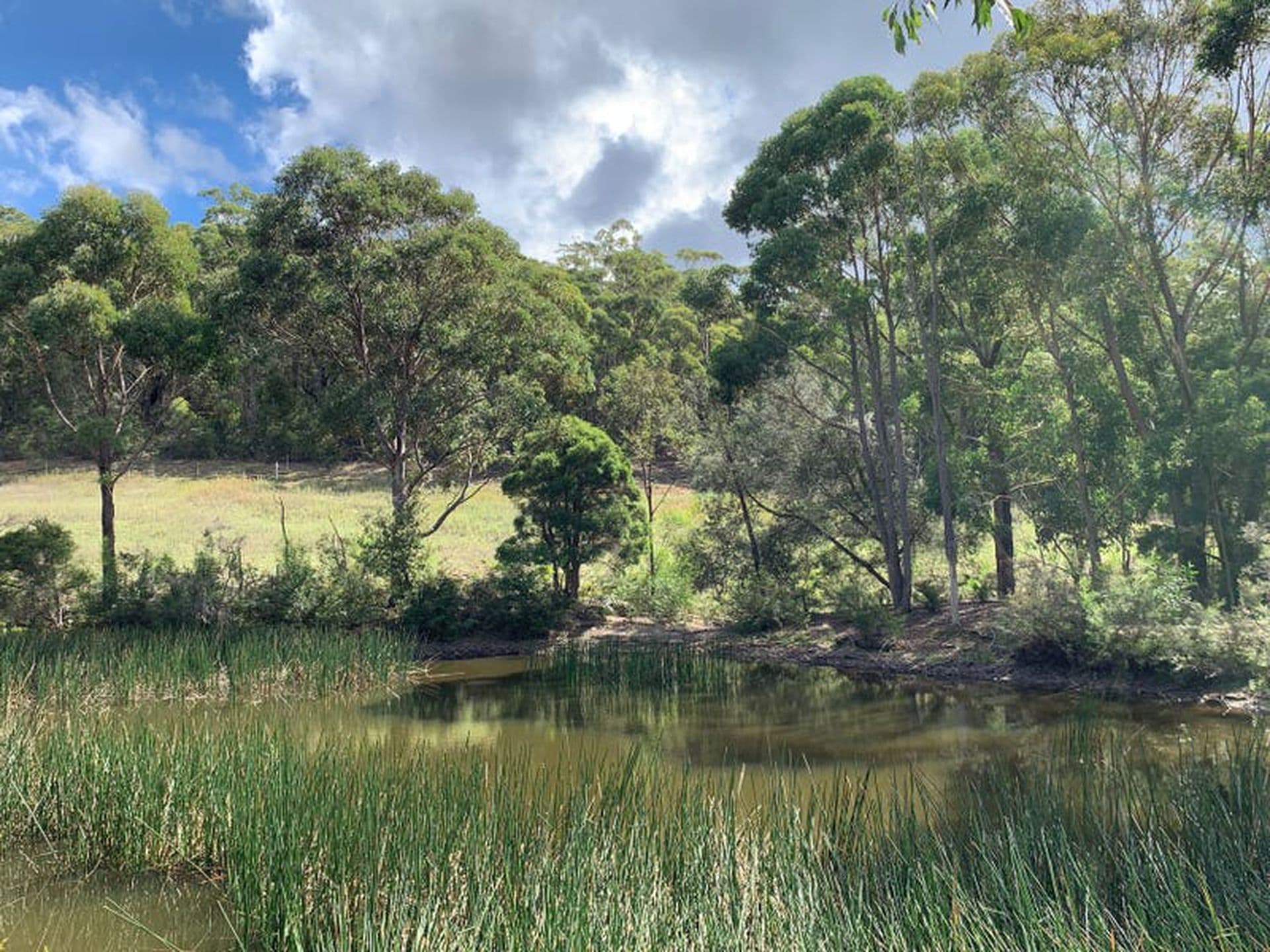 Colo Vale, Colo Vale - Thumbnail 5