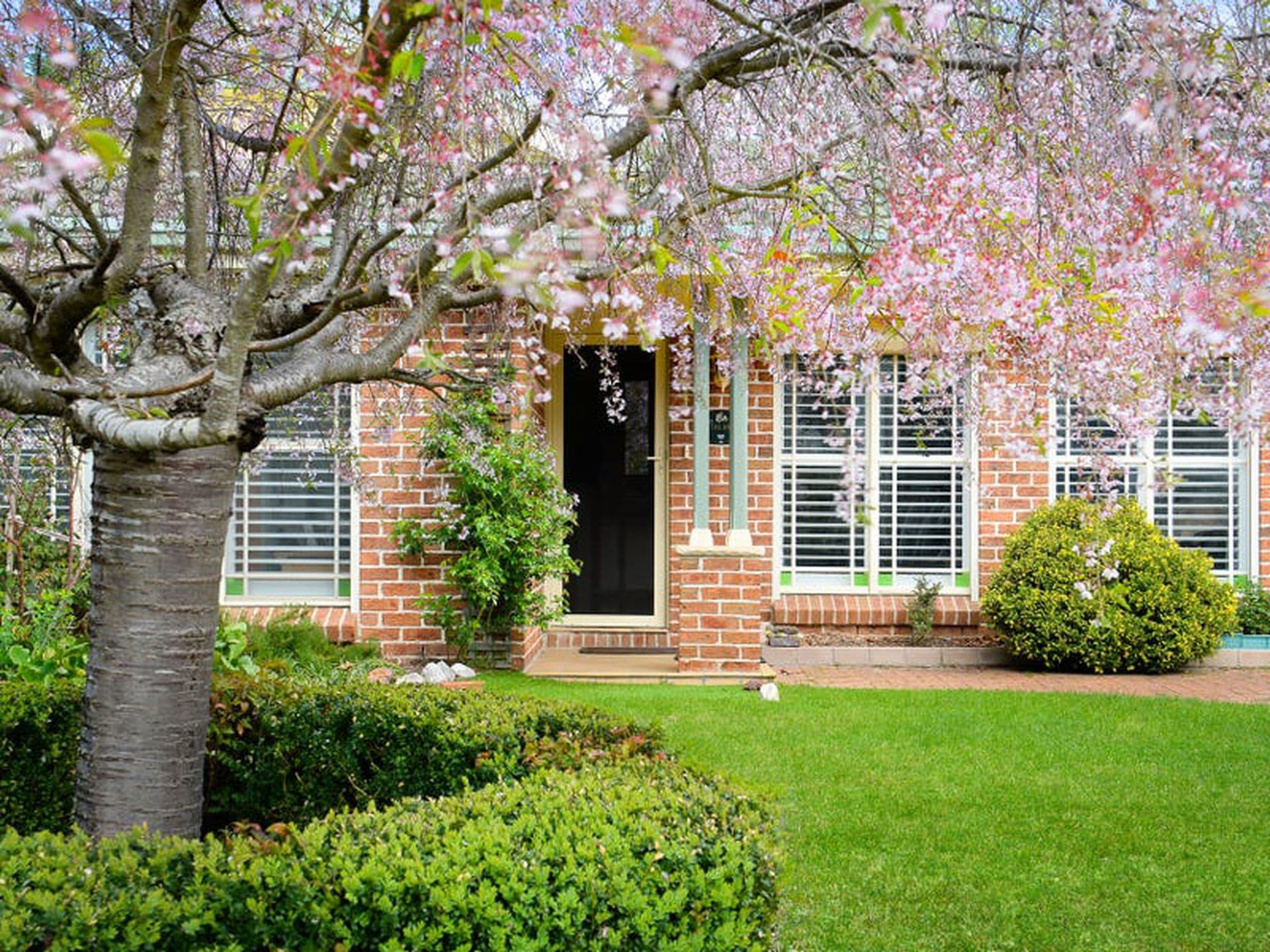 8A Cypress Parade, Bowral, Bowral - Thumbnail 2