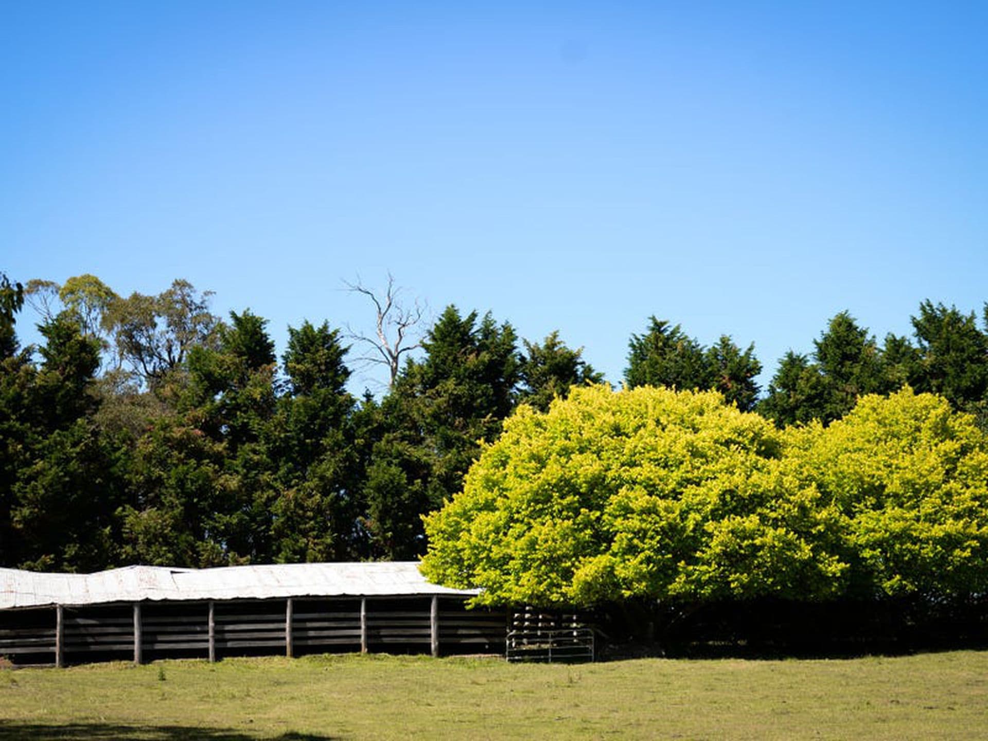 424 Sheepwash Road, Glenquarry, Glenquarry - Thumbnail 4