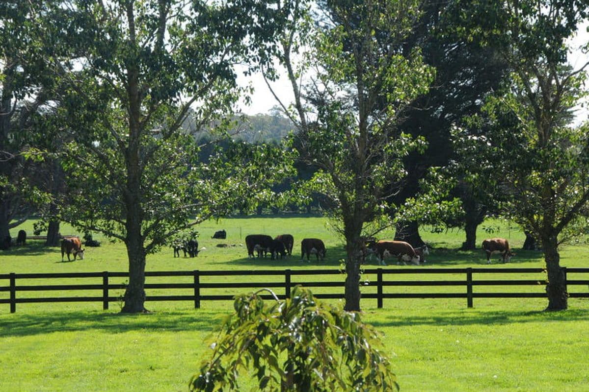 424 Sheepwash Road, Glenquarry, Glenquarry - Thumbnail 8