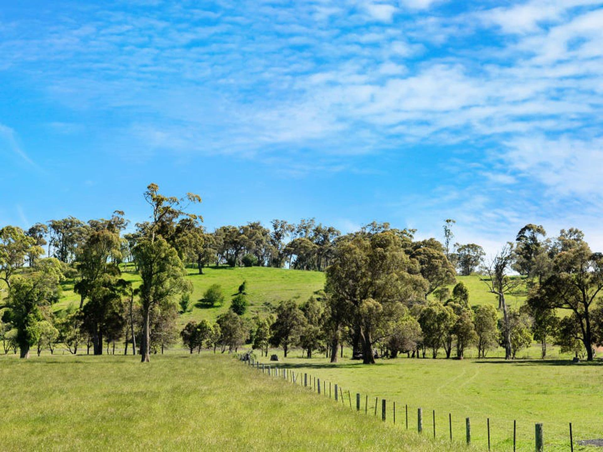 5910 Illawarra Highway, Avoca, Avoca - Image 1