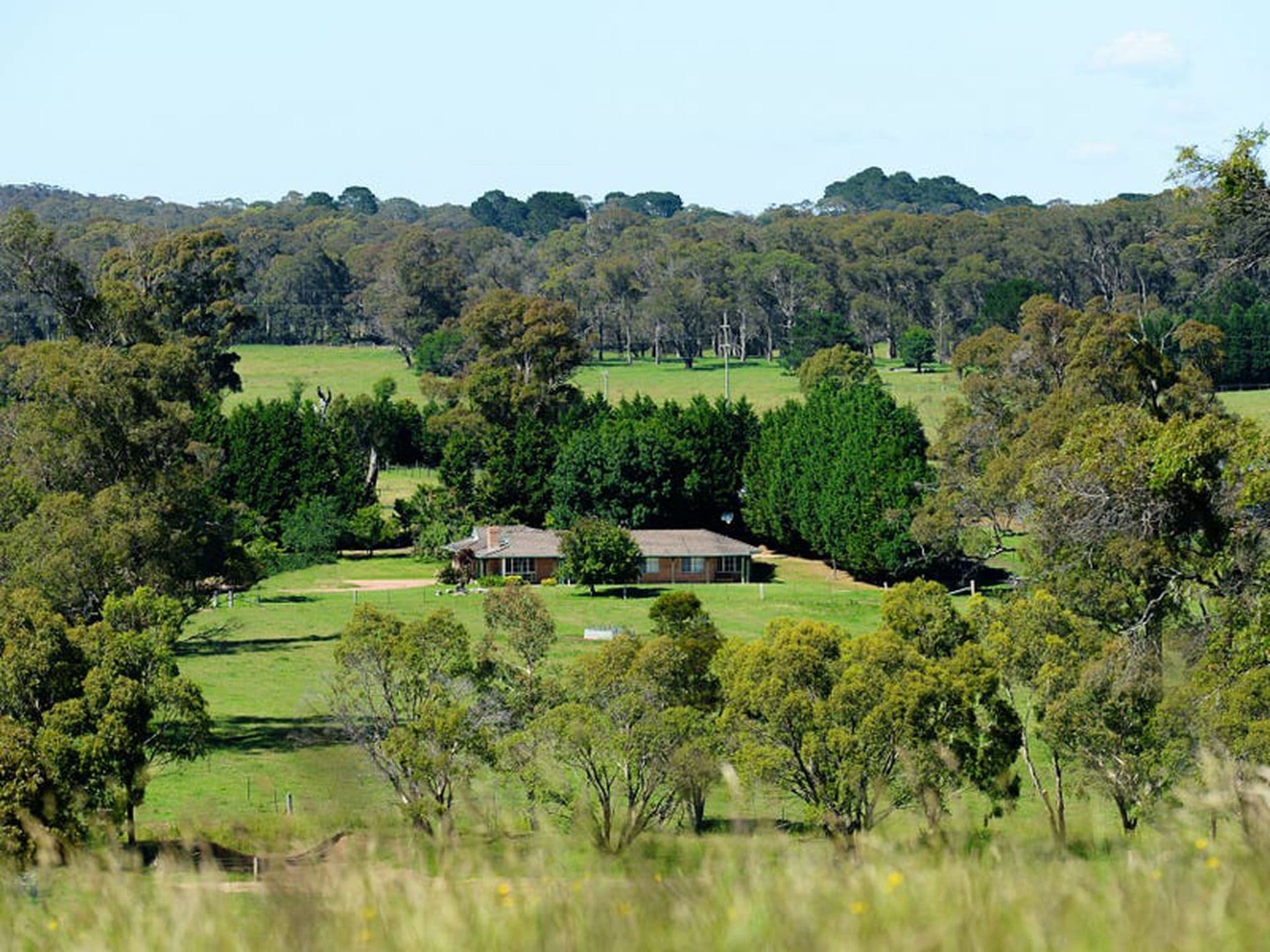 5910 Illawarra Highway, Avoca, Avoca - Thumbnail 2
