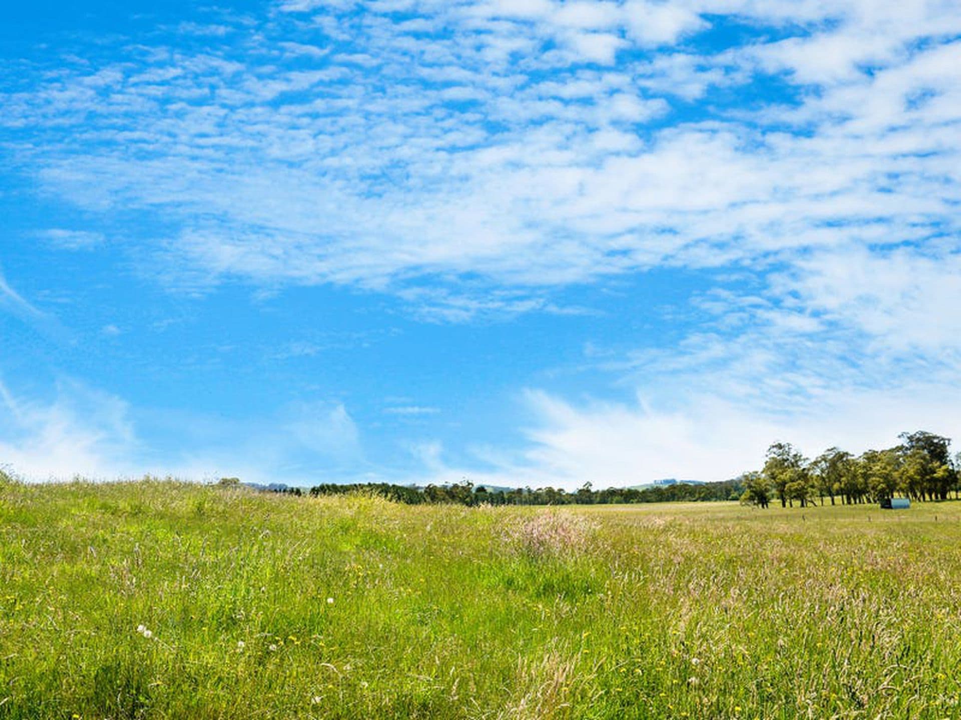 5910 Illawarra Highway, Avoca, Avoca - Thumbnail 4