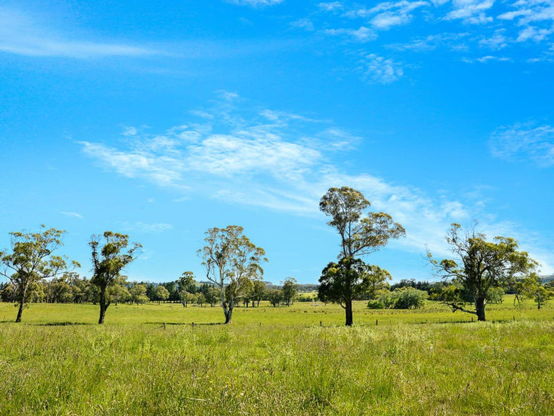 5910 Illawarra Highway, Avoca, Avoca - Thumbnail 6