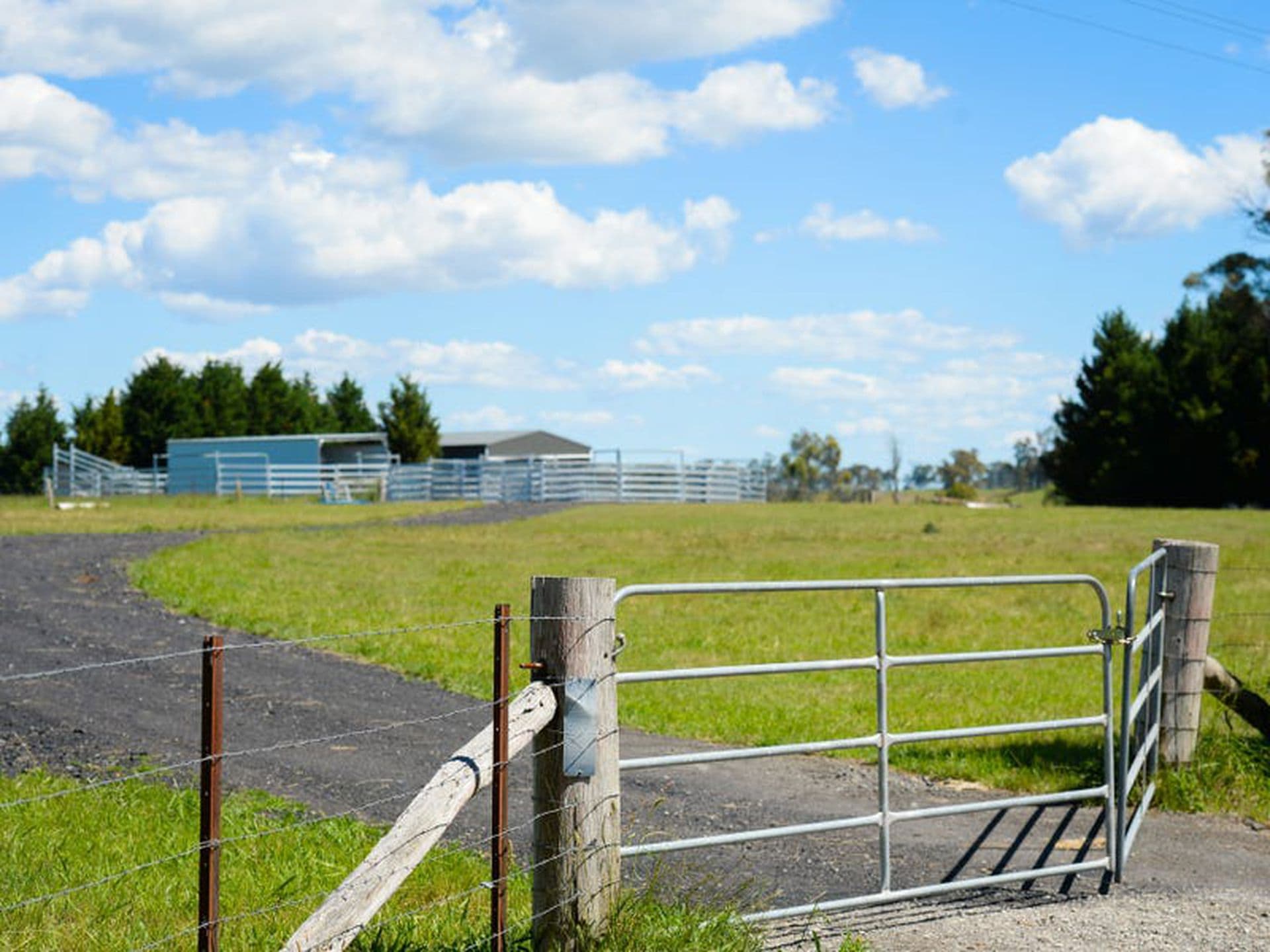 5910 Illawarra Highway, Avoca, Avoca - Thumbnail 8