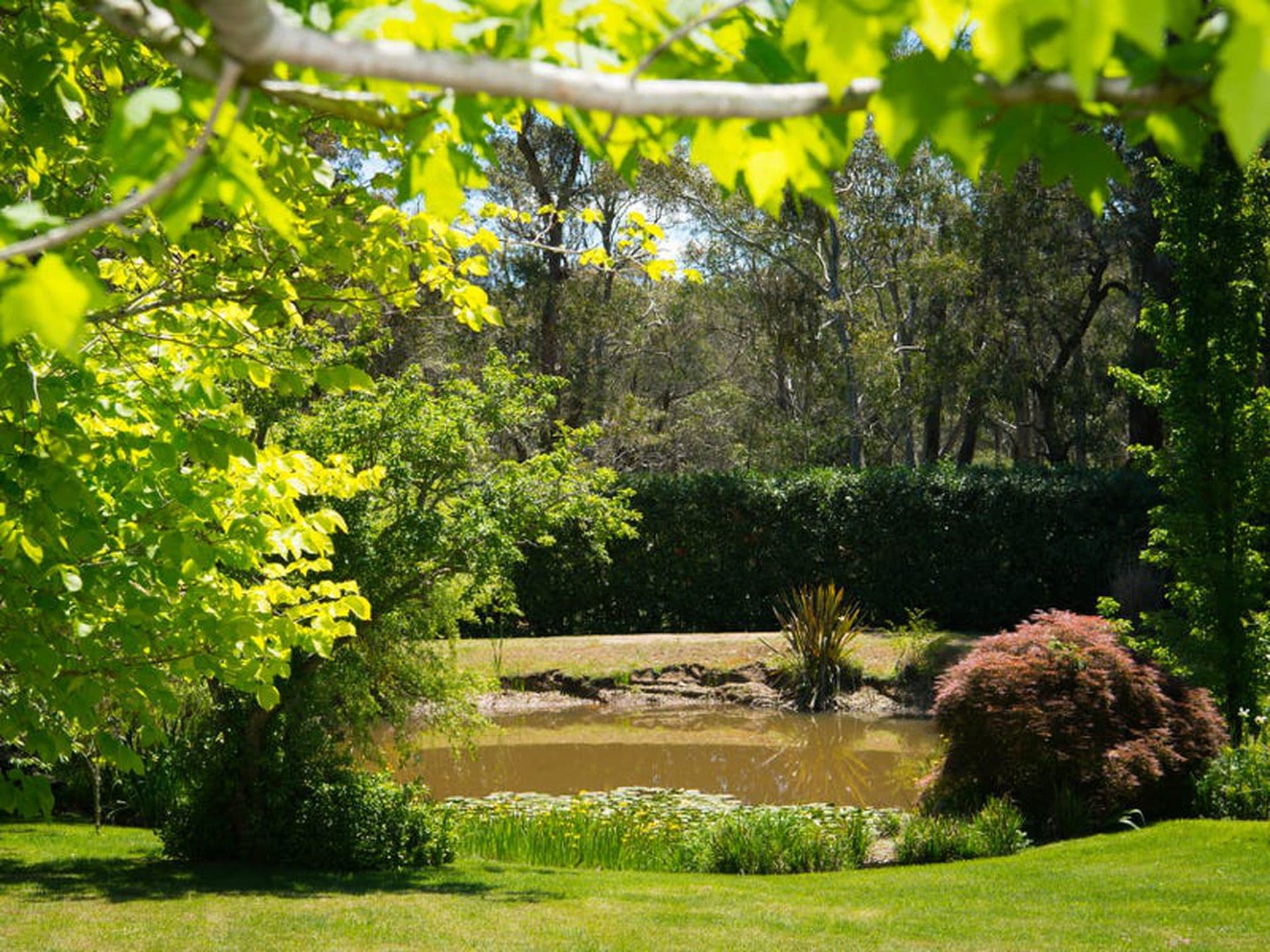 470 Tourist Road, Glenquarry, Glenquarry - Thumbnail 5
