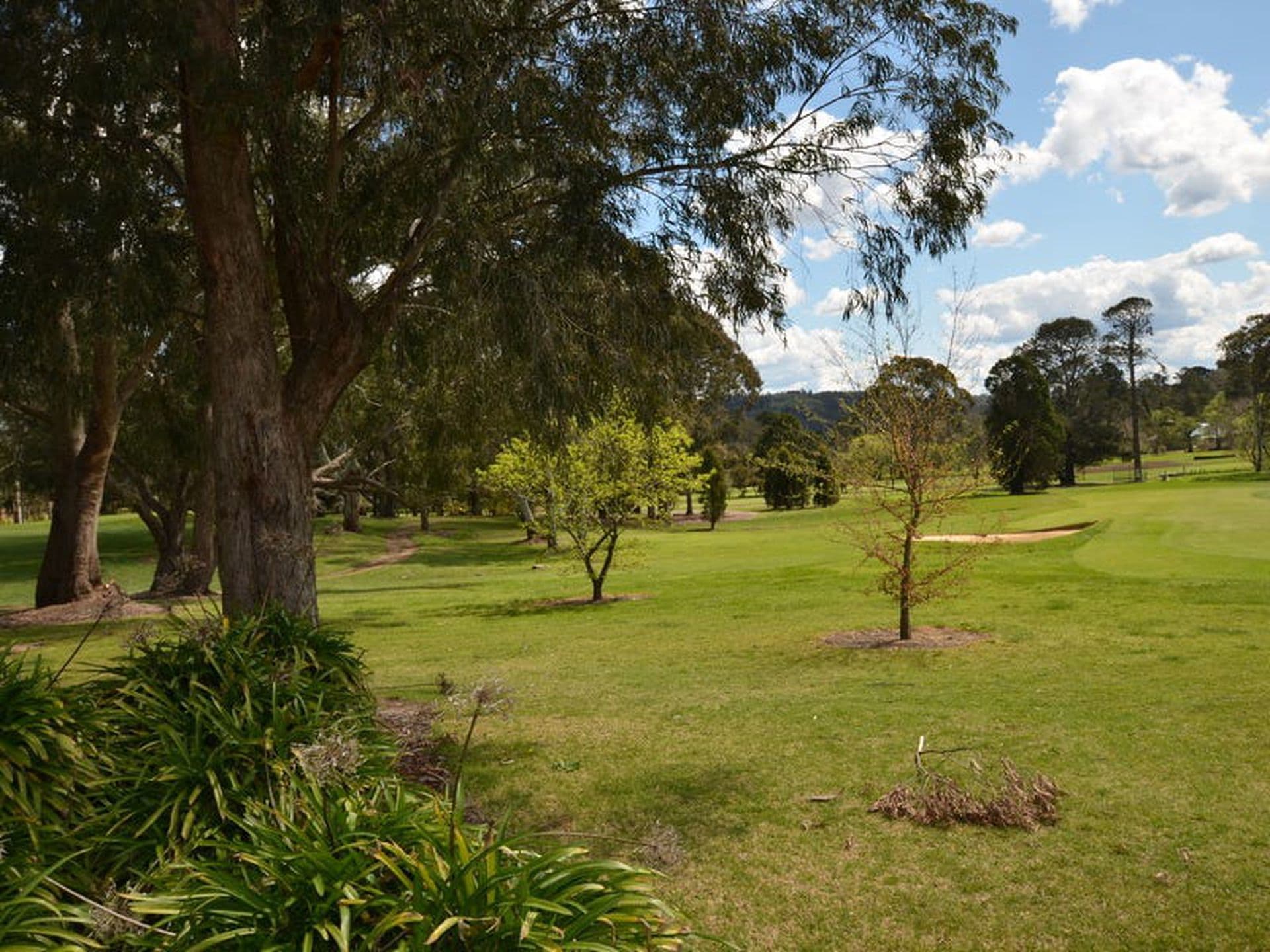 91 Kangaloon Road, Bowral, Bowral - Thumbnail 3