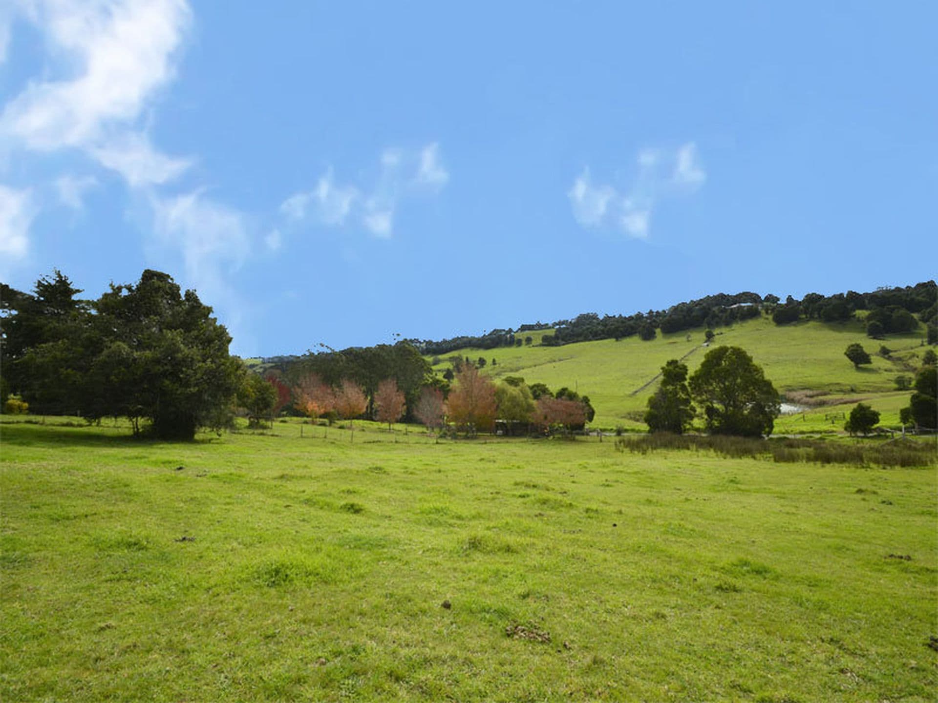 Robertson, Robertson - Image 1