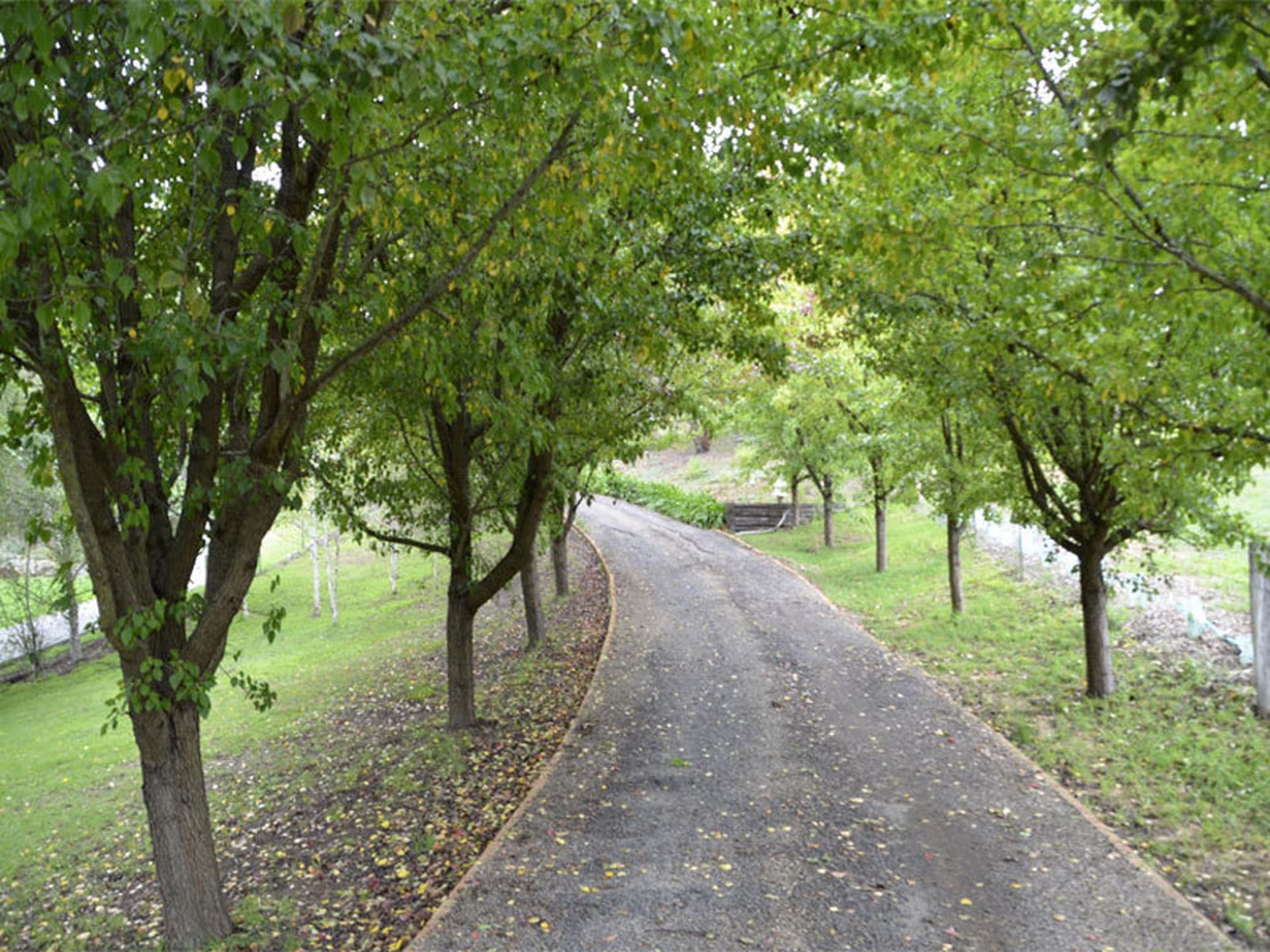Berrima, Berrima - Thumbnail 4
