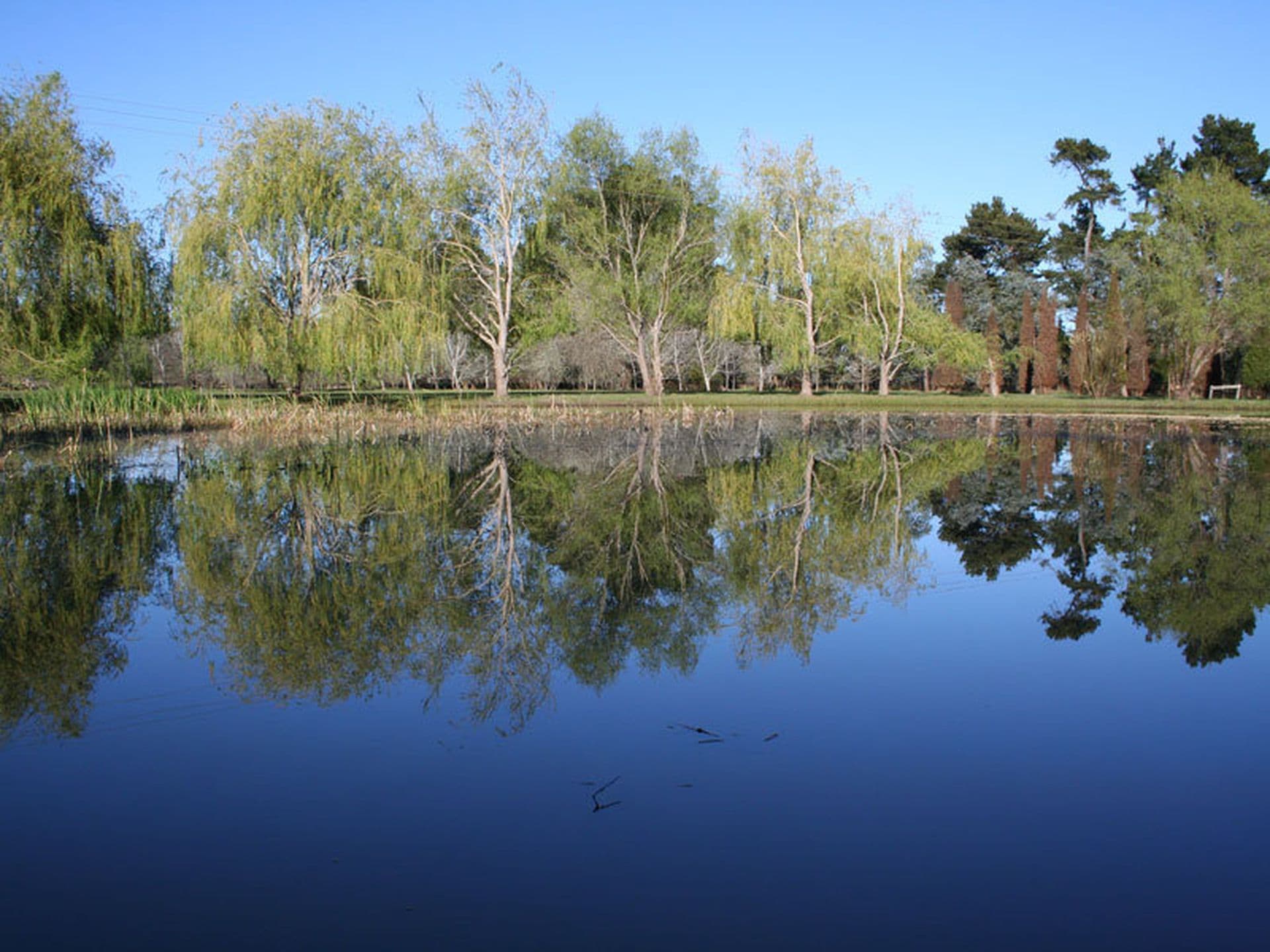 Burradoo, Burradoo - Thumbnail 7