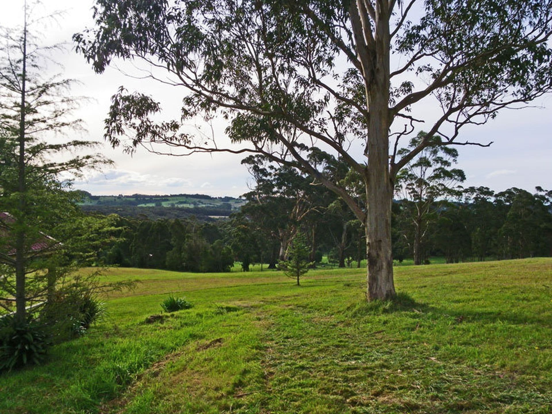 Robertson, Robertson - Thumbnail 7