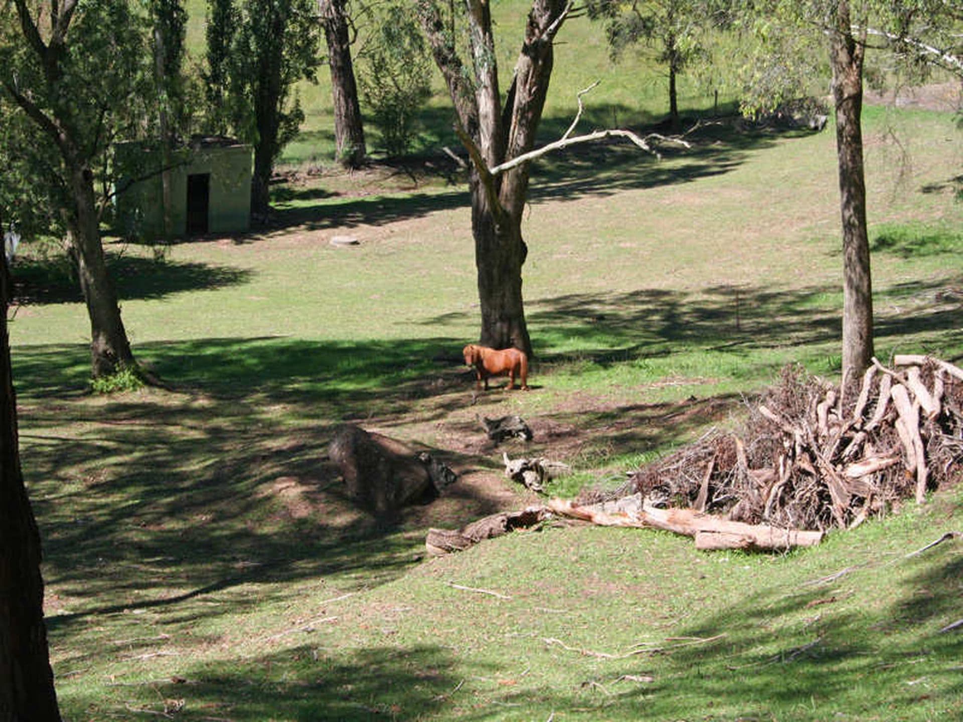 Bowral, Bowral - Thumbnail 5